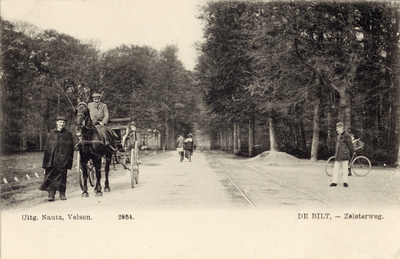 8165 Gezicht op de Zeisterweg bij De Bilt ter hoogte van het huis Vollenhoven, uit het oosten. N.B. Later is de ...